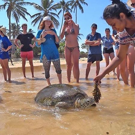 Turtle Bay Hotel Hikkaduwa Buitenkant foto